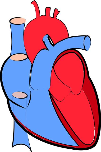 cardiovascular