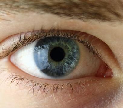eyes
