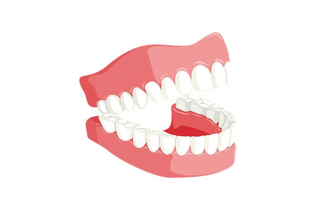 teeth